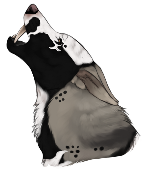 (c) Artwork belongs to me // Lines by Kique Nordin