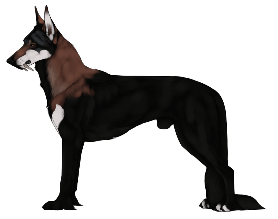 (c) Artwork belongs to JuniperSong // Lines by Kique Nordin (c) Artwork belongs to JuniperSong // Lines by Kique Nordin