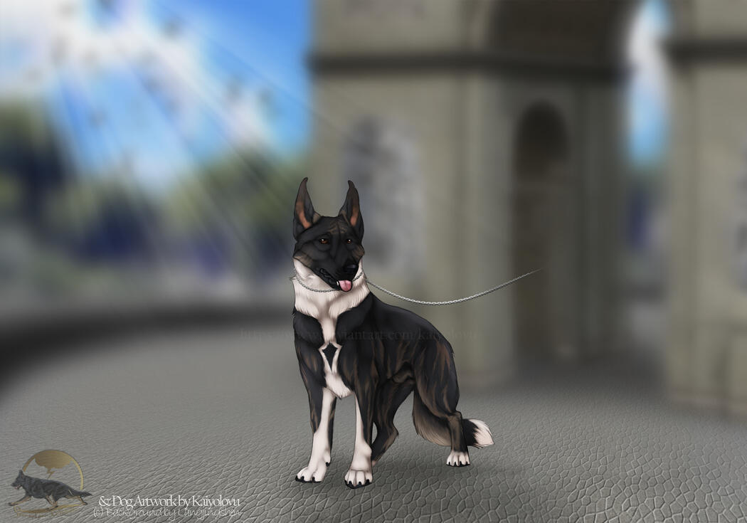 (c) Background by Langjingshen // Dog Artwork by me