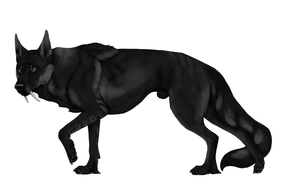 (c) Artwork belongs to Tailchaser57 // Lines by Kique Nordin