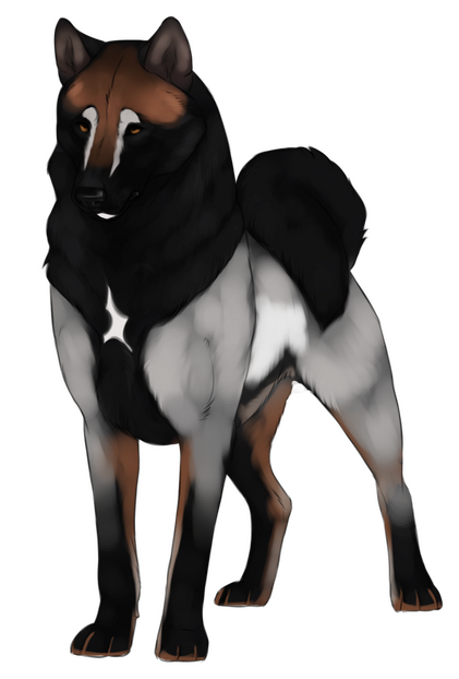 (c) Artwork belongs to TribalWolf // Lines by Kique Nordin (c) Artwork belongs to TribalWolf // Lines by Kique Nordin