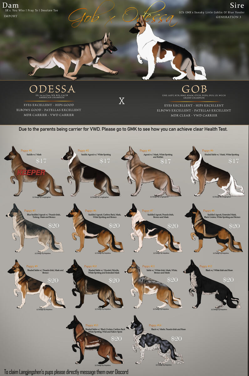 GMK's Sire "Gob" x Sturmjäger's Dam "Odessa"