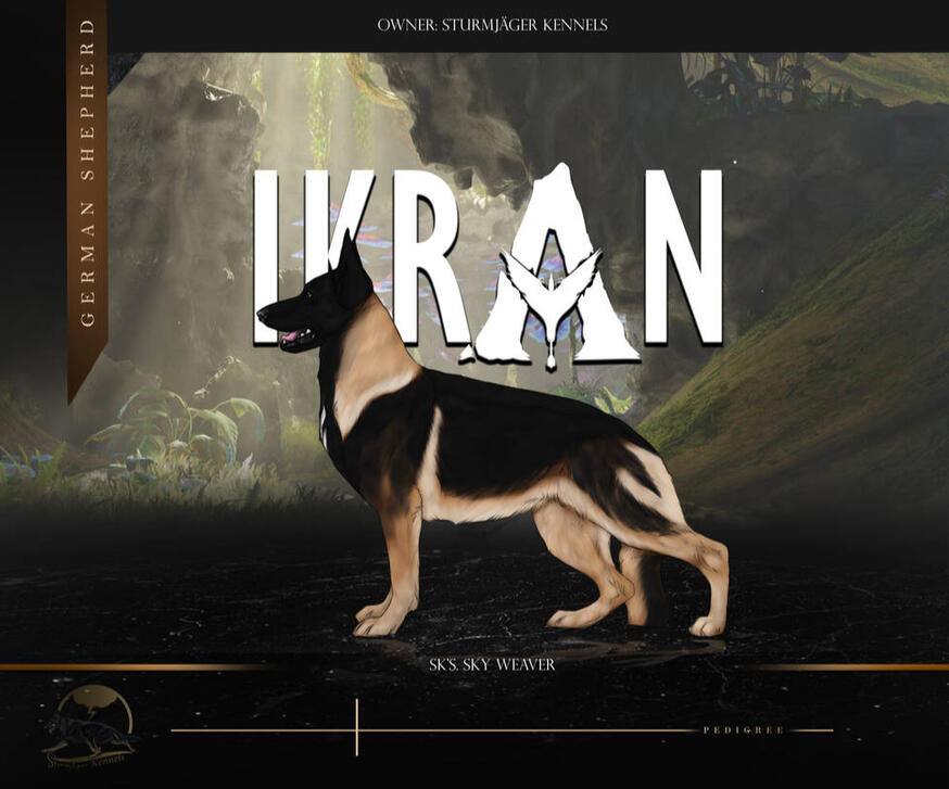 DARPG Reference