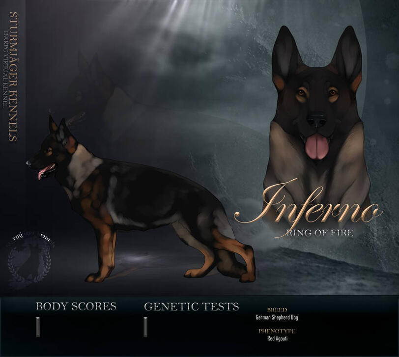DARPG Reference DARPG Reference